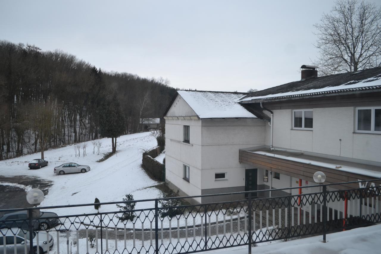 Pension Waldesruh Linz Esterno foto